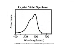 crystal violet absorbance