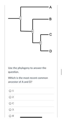 Answered: B Use The Phylogeny To Answer The… | Bartleby