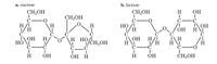 а. sucrose
b. lactose
CH2OH
CH2OH
H
ОН
CH2OH
C
НО /1
i/H
C
I OH
H \i
C
/OH H
C
Пон
H/!
1/ H
C
Пон
НО \
C
H
H
C
H HO/!
C
I\H
H \I
C
H
H/I
1%CH,OH
H
CC
-C
H.
ОН
ОН
H
H
OH
CH2OH
