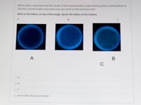 Which plate could represent the results of the transformation experiment positive control plated on
LB if the transformation procedure was too harsh on the bacterial cells?
Refer to the letters on top of the image. Ignore the letters at the bottom.
B
A
O A
OB
O none of the choices are correct
