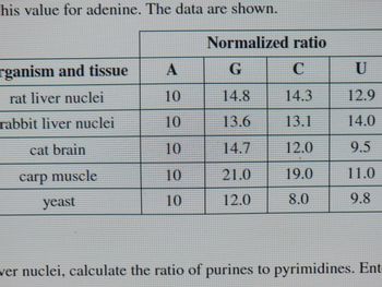 his value for adenine. The data are shown.
rganism and tissue
rat liver nuclei
rabbit liver nuclei
cat brain
carp muscle
yeast
A
10
10
10
10
10
Normalized ratio
G
C
14.8
14.3
13.6
13.1
14.7
12.0
21.0
19.0
12.0
8.0
U
12.9
14.0
9.5
11.0
9.8
ver nuclei, calculate the ratio of purines to pyrimidines. Ent