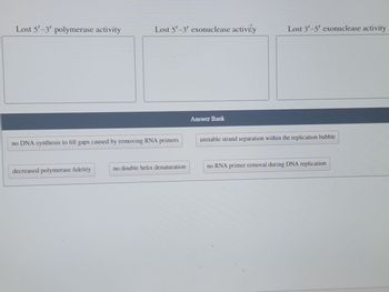 Lost 5'-3' polymerase activity
Lost 5'-3' exonuclease activity
no DNA synthesis to fill gaps caused by removing RNA primers
decreased polymerase fidelity
no double helix denaturation
Answer Bank
Lost 3'-5' exonuclease activity
unstable strand separation within the replication bubble
no RNA primer removal during DNA replication
mom