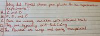Wha did Medel choose pea nts for his haybridization
experiments?
AlC and D
B.C,D, and E
. There ase
pla
varieties with different traits
self-fertilizing
and easily maniplalated
C.
many
typically
ale large
प्र
DThay
are
-EThe flowers e
