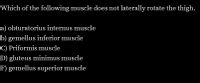 Which of the following muscle does not laterally rotate the thigh.
a) obturatorius internus muscle
b) gemellus inferior muscle
C) Priformis muscle
D) gluteus minimus muscle
F) gemellus superior muscle
