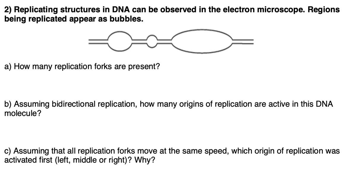 dna replication fork microscope