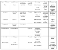 Answered: Incomplete Umbel, Compound Umbel… | bartleby