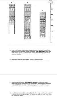 Scale
(meters)
7 0
50
40
30
20
10
a. Draw lines between the three stratigraphic sections below to connect the
geologic contacts between similar Lithologies. (USE A RULER!!.) Note that
each vertical column is a stratigraphic section. Each lithologic unit can be
regarded as a bed.
b. How many beds can be correlated across all three sections?
c. How thick is the thickest stratigraphic section (or column of rocks)?
(Note: We are not asking about this thickest BED. We are asking about the
thickest SECTION. Also note that the scale goes from 0 to 70 meters.)
d. A bed of coal is present in sections B and C. How deep would you have to drill
in section A (starting at the top of the section, up near the letter A) to reach
the buried coal seam?
