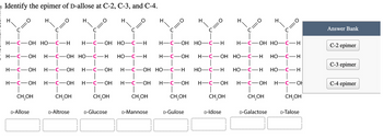 H
Identify the epimer of D-allose at C-2, C-3, and C-4.
O=J
H
O=J
H
C
0=
H
C
H-C-OH HO-C-H H-C-OH HO-C-H
H-C-OH H-C-OH HO-C-H HO-C-H
H-C-OH H-C-OH
H.
H
=0
H
=α
H-C-OH H-C-OH H-C-OH H-C-OH HO-C-H HO-C-H HO-C-H HO-C-H
H-C-OH H-C-OH HO-C-H HO-C-H
=O
=0
H
C
C
C
C
Answer Bank
H-C-OH HO-C-H
H-C-OH HO-C-H
C-2 epimer
C-3 epimer
H-C-OH H-C-OH
|
CH₂OH
CH₂OH
|
CH₂OH
CH₂OH
C-4 epimer
CH,OH
CH₂OH
D-Allose
CH₂OH
D-Altrose
CH₂OH
D-Glucose
D-Mannose
D-Gulose
D-Idose
D-Galactose
D-Talose
E
H-C-OH H-C-OH H-C-OH H-C-OH