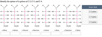 Identify the epimer of D-gulose at C-2, C-3, and C-4.
H
H.
O=
H
H.
0=
H.
H
H
C=0
H
=J
Answer Bank
C
C
C
H-C-OH HO-C-H H-C-OH HO-C-H
H-C-OH HO-C-H
H-C-OH HO-C-H
C-2 epimer
H-C-OH H-C-OH HO-C-H HO-C-H
H-C-OH H-C-OH HO-C-H HO-C-H
H-C-OH H-C-OH H-C-OH H-C-OH HO-C-H HO-C-H HO-C-H HO-C-H
C-3 epimer
C-4 epimer
H-C-OH H-C-OH H-C-OH H-C-OH H-C-OH H-C-OH H-C-OH H-C-OH
CH₂OH
CH₂OH
CH₂OH
CH,OH
CH₂OH
CH₂OH
CH,OH
CH,OH
D-Allose
D-Altrose
D-Glucose
D-Mannose
D-Gulose
D-Idose
D-Galactose
D-Talose