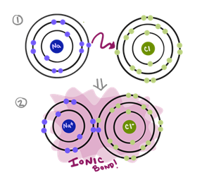 ### Explaining Ionic Bonding with Sodium and Chlorine

**Diagram Description:**

This image illustrates the process of ionic bonding between sodium (Na) and chlorine (Cl) atoms.

1. **Initial State:**
   - **Sodium (Na) Atom:**
     - The sodium atom is represented with three concentric circles, indicating its electron shells.
     - The inner and second shells are filled, and the outermost shell has one electron (depicted in blue).

   - **Chlorine (Cl) Atom:**
     - The chlorine atom is shown with three concentric circles.
     - The inner two shells are filled, while the outermost shell has seven electrons (depicted in green).

   - An arrow indicates the transfer of the outermost electron from sodium to chlorine.

2. **Ionic Bond Formation:**
   - **Sodium Ion (Na⁺):**
     - After losing its outer electron, sodium becomes positively charged (Na⁺) and has a full outer shell.

   - **Chloride Ion (Cl⁻):**
     - Chlorine gains an electron, resulting in a negatively charged ion (Cl⁻) with a complete outer shell.

   - The purple background highlights the formation of an "ionic bond," where the oppositely charged ions attract each other, creating a stable compound.

This diagram effectively demonstrates how the transfer of electrons leads to the formation of ions and the ionic bond, a fundamental concept in chemistry.