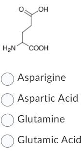 H₂N
OH
COOH
Asparigine
Aspartic Acid
O Glutamine
Glutamic Acid