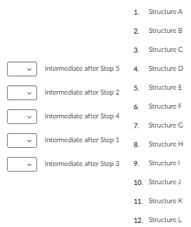 ☐☐
Intermediate after Step 5
Intermediate after Step 2
Intermediate after Step 4
Intermediate after Step 1
Intermediate after Step 3
1.
2.
4.
3. Structure C
Structure A
5.
Structure B
7.
Structure E
6. Structure F
Structure G
Structure D
8. Structure H
9. Structure I
10. Structure J
11. Structure K
12. Structure L