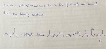 Sketch a detailed mechanism on how the following products are formed
from the following reaction.
M.
+ NBS u Br.
Br
Br
the ligh
Br