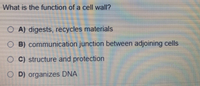 What is the function of a cell wall?
O A) digests, recycles materials
O B) communication junction between adjoining cells
C) structure and protection
O D) organizes DNA
