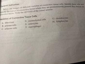 Answered: General Instruction Below are images of… | bartleby