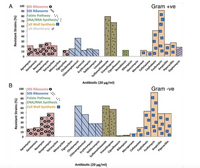 Answered: How Many Tested Antibiotics Targeted… | Bartleby