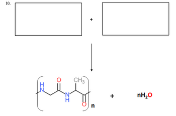 10.
ZI
CH3
n
+
nH₂O