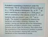 A student is examining a bacterium under the
microscope. The E. coli bacterial cell has a mass of
m = 1.50 fg (where a femtogram, fg, is 105
and is swimming at a velocity of v =
with an uncertainty in the velocity of 8.00 %. E. coli
bacterial cells are around 1 m (10 m) in
length. The student is supposed to observe the
bacterium and make a drawing. However, the
student, having just learned about the Heisenberg
uncertainty principle in physics class, complains
that she cannot make the drawing. She claims that
the uncertainty of the bacterium's position is greater
than the microscope's viewing field, and the
bacterium is thus impossible to locate.
9.00 pm/s,
9.
