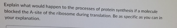 Explain what would happen to the processes of protein synthesis if a molecule
blocked the A-site of the ribosome during translation. Be as specific as you can in
your explanation.