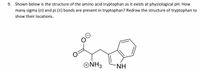 9. Shown below is the structure of the amino acid tryptophan as it exists at physiological pH. How
many sigma (o) and pi (t) bonds are present in tryptophan? Redraw the structure of tryptophan to
show their locations.
ONH3
-NH
