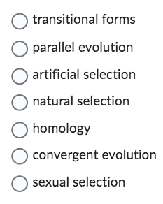 O transitional forms
O parallel evolution
O artificial selection
O natural selection
O homology
O convergent evolution
O sexual selection