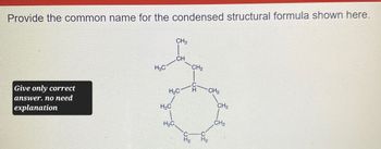 Provide the common name for the condensed structural formula shown here.
CH3
CH
H₂C
CH2
Give only correct
answer. no need
H₂C
-CH2
H₂C
CH₂
explanation
H₂C
CH2
N
От
C
H₂
C
ΙΟ
H2