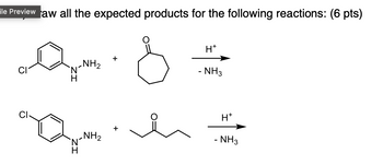 ile Preview aw all the expected products for the following reactions: (6 pts)
H+
-NH2
Ν
- NH3
Н
н+
-NH2
- NH3