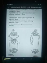 Answered: A) State The Type Of Blood Circulatory… | Bartleby