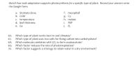 Match how each adaptation supports photosynthesis for a specific type of plant. Record your answers onto
the Google Form.
a. Stomata close.
b. САМ
f. mesophyll
g. C3
h. malate
c. temperature
d. leaf thickness
i. PEP
j. 0,
е. С4
66. Which type of plant works best in cool climates?
67. Which type of plant uses two cells for fixing carbon into carbohydrate?
68. Which molecule combines with CO, to form oxaloacetate?
69. Which factor reduces the rate of photorespiration?
Which factor suggests a strategy to retain water in a dry environment?
70.
