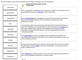 Answered: ill in the blanks and reorder sentences… | bartleby