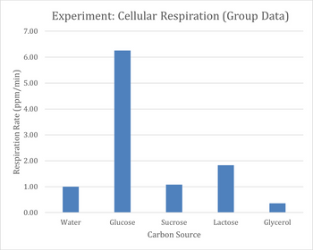 breathing rate experiment hypothesis