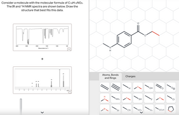 Consider a molecule with the molecular formula of C10H13 NO2.
The IR and 'H NMR spectra are shown below. Draw the
structure that best fits this data.
4000
3000
2000
11
10
9
1500
1000
500
Wavenumbers (cm-1)
+
1H
2H 2H
2H
3H
3H
2
1
ppm
Q
H
Atoms, Bonds
and Rings
H
N
NH2
Charges
H
SH
SH
OH
HO
FL
Br
Br
CN
NO2
N3
SO3H
D