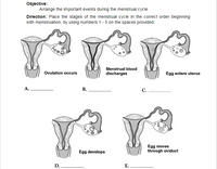 5 Favorite Moments of the Menstrual Movement — Endometrix