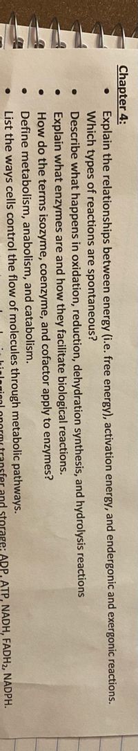 Chapter 4:
Explain the relationships between energy (i.e. free energy), activation energy, and endergonic and exergonic reactions.
Which types of reactions are spontaneous?
Describe what happens in oxidation, reduction, dehydration synthesis, and hydrolysis reactions
Explain what enzymes are and how they facilitate biological reactions.
How do the terms isozyme, coenzyme, and cofactor apply to enzymes?
Define metabolism, anabolism, and catabolism.
List the ways cells control the flow of molecules through metabolic pathways.
and storage: ADP, ATP, NADH, FADH2, NĂDPH.
