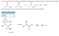 A novel new method of peptide synthesis involves formation of an amide bond by reaction of an a-keto acid with an N-alkylhydroxylamine.
OH
+ CO2 + H20
CO2
TR'
Draw curved arrows to show the movement of electrons in the following step of the reaction mechanism
Arrow-pushing Instructions
:0:
:ö: c-ö:
-R'
.R'
H20 CO2 A
R
R
H-A
