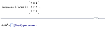 Compute det B4 where B =
det B4
=
202
2 2 3
222
(Simplify your answer.)