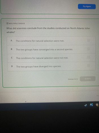 **Multiple Choice Question:**

**What did scientists conclude from the studies conducted on North Atlantic killer whales?**

A. The conditions for natural selection were met.

B. The two groups have converged into a second species.

C. The conditions for natural selection were not met.

D. The two groups have diverged into species.

(Note: The image contains a multiple-choice question related to studies on North Atlantic killer whales. It provides four options labeled A to D. There are no graphs or diagrams present in the image.)