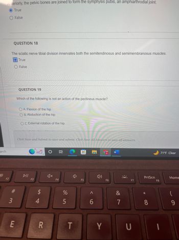 arch
Anteriorly, the pelvic bones are joined to form the symphysis pubis, an amphiarthrodial joint.
O True
O False
F2
QUESTION 18
The sciatic nerve tibial division innervates both the semitendinosus and semimembranosus muscles.
True
#m
3
E
False
QUESTION 19
Which of the following is not an action of the pectineus muscle?
OA. Flexion of the hip
OB. Abduction of the hip
OC. External rotation of the hip
Click Save and Submit to save and submit. Click Save All Answers to save all answers.
DII
F3
LA
4
R
O Ei
F4
%
5
T
H
F5
A
6
Y
F6
W
&
7
F7
U
PrtScn
*
8
F8
71°F Clear
I
Home
(
9