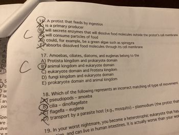 1.
A
E)
2. S
C
ar
la
are
pos
Spe
are
ave
re m
C
с
16. A protist that feeds by ingestion
is a primary producer
BY will secrete enzymes that will dissolve food molecules outside the protist's cell membrane
will consume particles of food
could, for example, be a green algae such as spirogyra
absorbs dissolved food molecules through its cell membrane
Doxy
17. Amoebas, ciliates, diatoms, and euglenas belong to the
A) Protista kingdom and prokaryote domain
B animal kingdom and eukaryote domain
C) eukaryote domain and Protista kingdom
D) fungi kingdom and eukaryote domain
E) prokaryote domain and animal kingdom
18. Which of the following represents an incorrect matching of type of movement
pseudopods - amoeba
B cilia - dinoflagellate
flagella - euglena
transport by a parasite host (e.g., mosquito) - plasmodium (the protist that
09
19. In your worst nightmare, you become a heterotrophic eukaryote that has
ion and can live in human intestines. It is actually worse than your wor