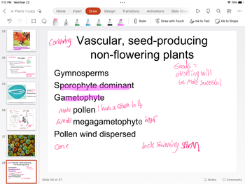 1:12 PM Wed Mar 22
< 4. Plants 1 copy
5
23
24
25
26
27
(c) Seed plants
Have vascular tissue and make
seeds (for example, flowering plants,
or angiosperma
doe-Hylsinge all The seed
• Improvements over the spore
Embryo: multicellular
Seed coat
- Minimizes desiccation and invasion by parasites
Increases length of dormancy
Endosperm Saree
• Stored nutrients
- Greater initial growth to the Embryo
A COTYL
PLUMILE
COTYLEDONS
HYPOCOL
RADICLE
SED COAT
EVERYD
SPLIT SEED
on
15
too for
RACICLE WITH
SECONDARY ROOTS
se to net dat
otot dh
Gymnosperms
Sporophyte dominant
Gametophyte
Me pollenhusin y
megagametophyte
Pollen wind dispersed
Cone
-Embryo (A)
Nutritive tissue
Protective coat
B
EFICOTYL
COTYLEDONS
28 Cong Vascular, seed-producing
non-flowering plants
Geods=
elefelyw1
be More Sucea
tock Swimming sto
Home Insert
●●●
Draw Design Transitions Animations Slide Show
Slide 28 of 37
Ruler
Gymnosperms
Sporophyte dominant
Gametophyte
Male pollen ! has a sfarm in it
female megagametophyte b
bigger
Pollen wind dispersed
Cone
Draw with Touch
D
Converning Vascular, seed-producing
non-flowering plants
Geods =
Ink to Text
ottspring will
be More Sucessful
Jack Swimming sperm
Notes
74%
Ink to Shape
Comments