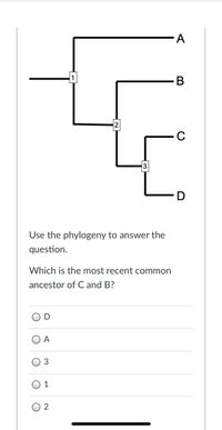 Answered: A 1 -B 2 -C | Bartleby