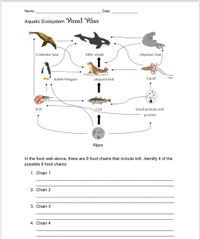 Answered: Crabeater Seal Killer whale Elephant… | bartleby