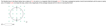 **Problem Statement:**

The flexible loop in the figure below has a radius of 12 cm and is in a magnetic field of strength 0.17 T. The loop is grasped at points A and B and stretched until its area is nearly zero. If it takes 0.25 s to close the loop, what is the magnitude of the average induced emf (in mV) in it during this time?

|E| = ________ mV

**Diagram Explanation:**

The diagram shows a circular loop situated in a uniform magnetic field. Green crosses represent the direction of the magnetic field, pointing into the plane of the loop. The loop is labeled at two points, A and B, which are the points where the loop is grasped to be closed. The arrows indicate the direction of manipulation.