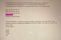 16)(comprehension) Suppose the following DNA sequence was mutated from
3'-AGAGAGAGAGAGAGAGAG-5' to 3'-AGAAGAGAGATCGAGAGA-5'.
What AMINO ACID SEQUENCE will be generated based on this mutated DNA?
A)glu-arg-glu-leu-leu-leu
B)ser-leu-ser-leu-ser-leu
C)leu-phe-arg-glu-glu-glu
D)ser-ser-leu
E)arg-glu-arg-glu-arg-glu
17)(comprehension) A particular eukaryotic protein is 300 amino acids long. Which of the
following could be the MINIMUM NUMBER OF NUCLEOTIDES in the DNA that codes for the
amino acids
in this protein?
A)300
B)900
C)100
D)3
