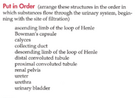 Put in Order (arrange these structures in the order in
which substances flow through the urinary system, begin-
ning with the site of filtration)
ascending limb of the loop of Henle
Bowman's capsule
calyces
collecting duct
descending limb of the loop of Henle
distal convoluted tubule
proximal convoluted tubule
renal pelvis
ureter
urethra
urinary bladder
