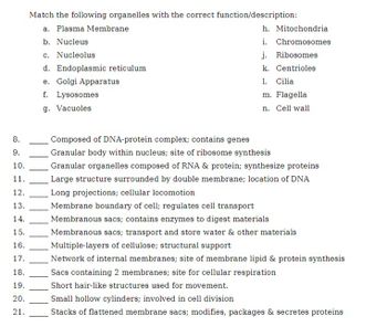 8.
9.
10.
11.
12.
13.
14.
15.
16.
17.
18.
19.
20.
21.
Match the following organelles with the correct function/description:
a. Plasma Membrane
b. Nucleus
c. Nucleolus
d. Endoplasmic reticulum
e. Golgi Apparatus
f. Lysosomes
g. Vacuoles
??????
?????????????????????
h. Mitochondria
i. Chromosomes
j. Ribosomes
k. Centrioles
1. Cilia
m. Flagella
n. Cell wall
Composed of DNA-protein complex; contains genes
Granular body within nucleus; site of ribosome synthesis
Granular organelles composed of RNA & protein; synthesize proteins
Large structure surrounded by double membrane; location of DNA
Long projections; cellular locomotion
Membrane boundary of cell; regulates cell transport
Membranous sacs; contains enzymes to digest materials
Membranous sacs; transport and store water & other materials
Multiple-layers of cellulose; structural support
Network of internal membranes; site of membrane lipid & protein synthesis
Sacs containing 2 membranes; site for cellular respiration
Short hair-like structures used for movement.
Small hollow cylinders; involved in cell division
Stacks of flattened membrane sacs; modifies, packages & secretes proteins