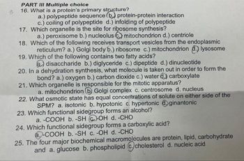 PART III Multiple choice
B 16. What is a protein's primary structure?
17.
a.) polypeptide sequence (b) protein-protein interaction
c.) coiling of polypeptide d.) infolding of polypeptide
Which organelle is the site for ribosome synthesis?
a.) peroxisome b.) nucleolus mitochondrion d.) centriole
18. Which of the following receives transport vesicles from the endoplasmic
reticulum? a.) Golgi body b.) ribosome c.) mitochondrion d.) lysosome
19. Which of the following contains two fatty acids?
a disaccharide b.) diglyceride c.) dipeptide d.) dinucleotide
20. In a dehydration synthesis, what molecule is taken out in order to form the
bond? a.) oxygen b.) carbon dioxide c.) water d) carboxylate
21. Which organelle is responsible for the mitotic apparatus?
a. mitochondrion b Golgi complex c. centrosome d. nucleus
22. What osmotic state has equal concentrations of solute on either side of the
SPM? a. isotonic b. hypotonic c. hypertonic @ginantonic
23. Which functional sidegroup forms an alcohol?
a. -COOH b. -SHOH d. -CHO
24. Which functional sidegroup forms a carboxylic acid?
a-COOH b. -SH c. -OH d. -CHO
25. The four major biochemical macromolecules are protein, lipid, carbohydrate
and a. glucose b. phospholipid (c. cholesterol d. nucleic acid