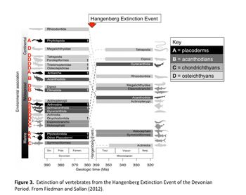 **Figure 3. Extinction of Vertebrates during the Hangenberg Extinction Event of the Devonian Period.**

This diagram illustrates the extinction patterns of various vertebrate groups from the Devonian to the Mississippian, highlighting the Hangenberg Extinction Event. The timeline is measured in millions of years ago (Ma), ranging from 390 Ma to 320 Ma. The Hangenberg Event, marked by a red arrow, occurred around 359 Ma.

**Key to Vertebrate Groups:**
- **A (Black):** Placoderms
- **B (Dark Gray):** Acanthodians
- **C (Medium Gray):** Chondrichthyans
- **D (Light Gray):** Osteichthyans

**Environmental Association:**
- **Continental** (top section): Includes groups like Rhizodontida, Phyllolepida, and Platylipeida.
- **Widespread** (middle section): Includes groups like Dipnoi, Climatitia, and Acanthodida.
- **Marine** (bottom section): Includes groups like Ptyctodontida, Other Placodermi, and Symmoriiformes.

**Group Extinctions:**
- At the Hangenberg Event, various groups experienced significant extinction as denoted by †.
- Placoderms (A) and some acanthodians (B) show extensive extinction.
- While some chondrichthyans (C) persisted, others faced decline.
- Osteichthyans (D), such as Actinopterygii, show resilience post-event.

This extinction event delineates a significant shift in vertebrate diversification and dominance, as seen in the surviving lineages transitioning from the Devonian into the Mississippian period.

*Source: Fiedman and Sallan (2012).*