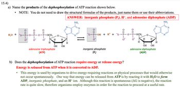 15.4)
a) Name the products of the dephosphorylation of ATP reaction shown below.
NOTE: You do not need to draw the structural formulas of the products, just name them or use their abbreviations.
ANSWER: inorganic phosphate (P₁), H+, and adenosine diphosphate (ADP)
NH₂
H₂O +
+H
O-P-
O
OCH₂
H
H
O
adenosine triphosphate
(ATP)
H
OH OH
N
N
H
O
O-P-OH + H+ o-i
inorganic phosphate
(P₁)
+
O
o
OCH₂
H
O
H H
N.
H
OH OH
adenosine diphosphate
(ADP)
NH₂
N
b) Does the dephosphorylation of ATP reaction require energy or release energy?
Energy is released from ATP when it is converted to ADP.
This energy is used by organisms to drive energy-requiring reactions or physical processes that would otherwise
not occur spontaneously. One way that energy can be released from ATP is by reacting it with H₂O to form
ADP, inorganic phosphate, and an H+ ion. Although this reaction is spontaneous (AG is negative), the reaction
rate is quite slow, therefore organisms employ enzymes in order for the reaction to proceed at a useful rate.