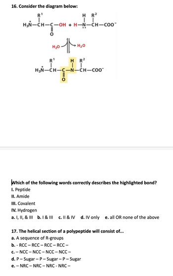 16. Consider the diagram below:
R¹
H₂N-CH-C-OH + H-N-CH-COO™
Wi-En-₁-on
HOT
H₂O
R¹
HR²
II
H₂O
HR²
II
H₂N-CH-C-N-CH-COO
O
Which of the following words correctly describes the highlighted bond?
1. Peptide
II. Amide
III. Covalent
IV. Hydrogen
a. I, II, & III b. I & III c. II & IV d. IV only e. all OR none of the above
17. The helical section of a polypeptide will consist of...
a. A sequence of R-groups
b. - RCC - RCC - RCC - RCC-
c.-NCC-NCC-NCC-NCC-
d. P- Sugar-P-Sugar-P- Sugar
e. - NRC-NRC-NRC - NRC-